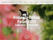 Tablet Screenshot of bellus.labrador.pl