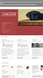 Mobile Screenshot of fundacja.labrador.pl